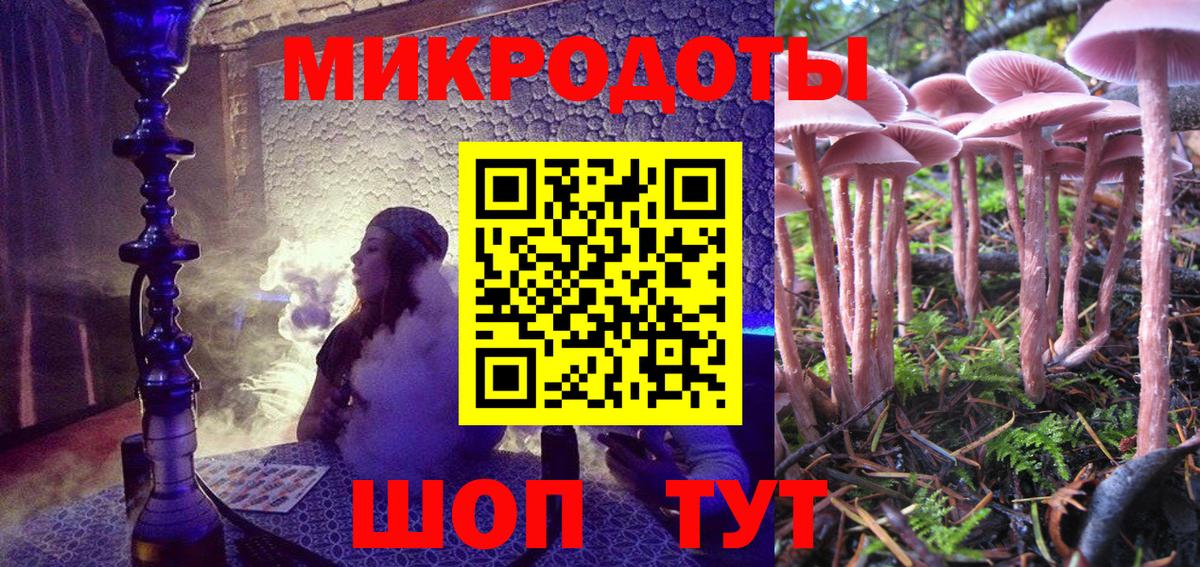 Галлюциногенные грибы Magic Shrooms Калининград