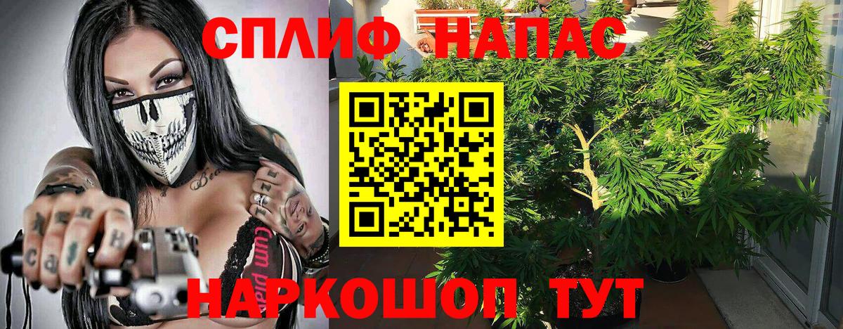 Шишки марихуана семена Калининград